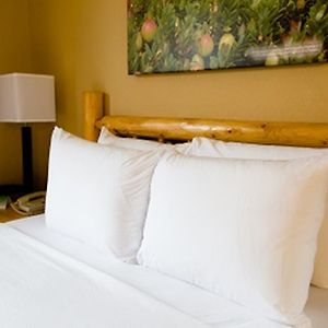 King Room Sofa Bed